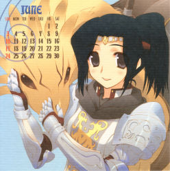 Rule 34 | 00s, 1girl, 2007, amazuyu tatsuki, armor, black hair, calendar, chocobo, final fantasy, final fantasy xi, hume, paladin, paladin (final fantasy), solo