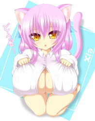 Rule 34 | animal ears, blush, breasts, cat ears, cat tail, cleavage, fang, highres, large breasts, purple hair, shia flatpaddy, syroh, tail, yellow eyes
