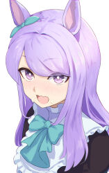 Rule 34 | 1girl, :o, animal ears, blush, bow, commentary, ear ribbon, food, food on face, green bow, harakomeshi, highres, horse ears, horse girl, long hair, looking at viewer, mejiro mcqueen (umamusume), purple eyes, purple hair, simple background, solo, swept bangs, umamusume, upper body, wavy mouth, white background