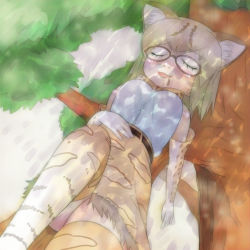 Rule 34 | 10s, 1girl, animal ears, bare shoulders, blonde hair, blush, bow, bowtie, branch, cat ears, cat tail, commentary request, drooling, elbow gloves, glasses, gloves, kemono friends, margay (kemono friends), multicolored hair, nose bubble, open mouth, short hair, skirt, sleeping, sleeveless, smile, solo, t jiroo (ringofriend), tail, tree