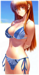 Rule 34 | 1girl, artist request, dead or alive, kasumi (doa), long hair, solo, swimsuit, tagme