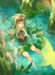 Rule 34 | 00s, 1girl, brown hair, bug, butterfly, dress, forest, from above, green dress, green theme, heterochromia, bug, kusunoki (waccabell), nature, rozen maiden, solo, suiseiseki, water, wet, wet clothes