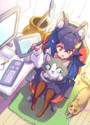 Rule 34 | 1girl, :3, animal, animal ear fluff, animal ears, blue eyes, carpet, cat, computer, drawing tablet, fluff, getting over it, hammer, highres, holding, holding animal, hololive, hood, hoodie, computer keyboard, long hair, monitor, computer mouse, on chair, ookami mio, ookami mio (casual), pantyhose, shorts, sitting, stylus, taiga (ookami mio), tawa (ookami mio), virtual youtuber, wireless mouse, wolf ears, wolf girl, yellow eyes, yunra665