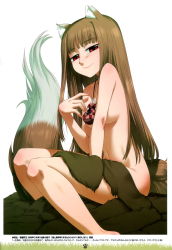 Rule 34 | 1girl, absurdres, animal ears, barefoot, breasts, brown hair, highres, holo, koume keito, long hair, nude, pouch, red eyes, scan, sitting, smile, solo, spice and wolf, tail, wolf ears, wolf tail