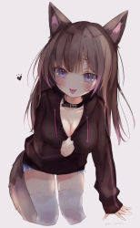 Rule 34 | 1girl, absurdres, animal ears, blue eyes, blush, breasts, brown hair, cleavage, clothes pull, collar, collarbone, cutoffs, denim, denim shorts, dog ears, dog tail, grey background, heart, highres, hood, hood down, hoodie, large breasts, leaning forward, long hair, long sleeves, looking at viewer, medium breasts, open mouth, original, over-kneehighs, purple eyes, shirt pull, short shorts, shorts, sleeves past wrists, smile, solo, tail, thighhighs, tongue, tongue out, yukari (rihenara doll)