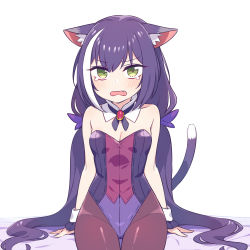 Rule 34 | 1girl, adapted costume, animal ear fluff, animal ears, bare shoulders, black hair, blush, breasts, brown pantyhose, cat ears, cat girl, cat tail, chan co, cleavage, collarbone, detached collar, ears down, embarrassed, fang, green eyes, highleg, highleg leotard, karyl (princess connect!), kittysuit, leotard, long hair, low twintails, multicolored hair, multicolored leotard, nontraditional playboy bunny, open mouth, pantyhose, playboy bunny, princess connect!, simple background, sitting, small breasts, solo, strapless, strapless leotard, streaked hair, tail, tears, thigh gap, twintails, v-shaped eyebrows, very long hair, white background, white hair, wrist cuffs
