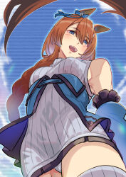 Rule 34 | 1girl, absurdres, animal ears, bare shoulders, blue background, blue dress, blue scarf, blue thighhighs, braid, braided ponytail, breasts, brown hair, commentary request, cowboy shot, detached sleeves, doushi tatsu to dekkai no, dress, from below, hair between eyes, highres, horse ears, horse girl, horse tail, large breasts, long hair, long sleeves, looking at viewer, multicolored hair, off-shoulder dress, off shoulder, open mouth, outdoors, panties, scarf, smile, solo, streaked hair, super creek (umamusume), tail, thighhighs, umamusume, underwear, white hair, white panties