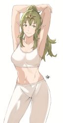 Rule 34 | 1girl, alternate costume, breasts, closed mouth, commentary, fire emblem, fire emblem awakening, green eyes, green hair, long hair, looking at viewer, navel, nintendo, pointy ears, ponytail, sakuremi, smile, solo, standing, stretching, tiki (adult) (fire emblem), tiki (fire emblem)