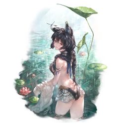 Rule 34 | 1girl, alpha transparency, animal ears, ass, backless swimsuit, black hair, black one-piece swimsuit, blush, braid, breasts, bug, butt crack, dragonfly, erune, granblue fantasy, hair between eyes, hair over shoulder, insect, large breasts, lily pad, long hair, looking at viewer, minaba hideo, nier (granblue fantasy), nier (lover by the lily lake) (granblue fantasy), official art, one-piece swimsuit, open mouth, rain, red eyes, shirt, sideboob, smile, solo, standing, swimsuit, transparent background, twin braids, wading, water, white shirt