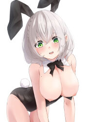 Rule 34 | 1girl, all fours, animal ears, bare shoulders, bent over, black bow, black bowtie, black leotard, blush, bow, bowtie, braid, breasts, bursting breasts, cleavage, detached collar, embarrassed, fake animal ears, foreshortening, green eyes, grey hair, highres, hololive, large breasts, leotard, looking at viewer, looking down, medium hair, mole, mole on breast, nipples, playboy bunny, rabbit ears, rabbit tail, shirogane noel, side braid, skindentation, solo, strapless, strapless leotard, surprised, sweatdrop, tail, tenmon (tenmon0715), traditional bowtie, undersized breast cup, virtual youtuber, wardrobe malfunction, wavy hair, wing collar