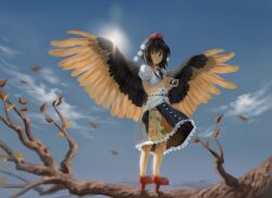 Rule 34 | 1girl, alternate wing color, black hair, black skirt, blue sky, branch, camera, cloud, feathered wings, frilled skirt, frills, geta, hair ornament, hat, holding, holding camera, pom pom (clothes), pom pom hair ornament, puffy short sleeves, puffy sleeves, red eyes, red footwear, red hat, satellitedragon, shameimaru aya, short hair, short sleeves, skirt, sky, solo, spread wings, standing on branch, sun, tengu-geta, tokin hat, touhou, white skirt, wings