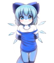 Rule 34 | 1girl, arms behind back, blue eyes, blue hair, blush, body fur, bow, cirno, detached wings, female focus, furrification, furry, furry female, hair bow, mcsadat, short hair, smile, solo, touhou, wings