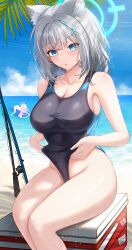 2girls animal_ears beach blue_archive blue_eyes blue_sky breasts cloud cloudy_sky davysenpai day extra_ears grey_hair halo hoshino_(blue_archive) hoshino_(swimsuit)_(blue_archive) mismatched_pupils multiple_girls official_alternate_costume pink_hair shiroko_(blue_archive) shiroko_(swimsuit)_(blue_archive) sky solo_focus swimsuit water wet wet_clothes wet_swimsuit wolf_ears wolf_girl