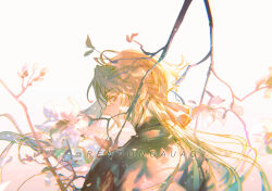 Rule 34 | 1boy, ahoge, ankou (shuuen no virche), black shirt, branch, cherry blossoms, closed mouth, facing to the side, flower, grey background, grey hair, highres, long hair, long sleeves, looking back, male focus, pink flower, red eyes, rendong06, shirt, shuuen no virche, solo, twitter username