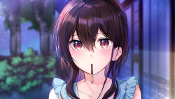 Rule 34 | 1girl, blue sky, blurry, blurry background, blush, brown hair, building, bush, collarbone, food, hair between eyes, long hair, looking at viewer, mochiko (mochiko3121), mouth hold, night, night sky, official art, pocky, red eyes, sky, solo, standing, tree, upper body