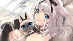 Rule 34 | 1girl, animal, animal ears, black ribbon, black thighhighs, blue eyes, cat, cat ears, commentary request, earrings, eyebrows hidden by hair, final fantasy, final fantasy xiv, from behind, grey hair, highres, holding, holding animal, holding cat, imitating, jewelry, long hair, looking at viewer, looking back, medium hair, meme attire, miqo&#039;te, nanase kokono, on bed, ribbon, skindentation, slit pupils, solo, thighhighs, tongue, tongue out, virgin killer sweater, warrior of light (ff14)
