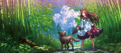 Rule 34 | 1girl, animal, animal ears, bamboo, bamboo forest, bare legs, barefoot, blue sky, brown hair, cloud, cloudy sky, day, dress, forest, highres, imaizumi kagerou, long hair, long sleeves, nature, outdoors, red eyes, scenery, sky, tail, teiraa, touhou, wading, wolf ears, wolf tail