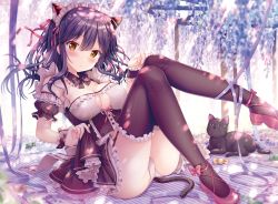 Rule 34 | 1girl, animal, animal ears, black dress, black hair, black thighhighs, blush, breasts, brown eyes, cat, cat ears, cat girl, cat tail, cleavage, clothing cutout, detached sleeves, dress, frilled dress, frilled thighhighs, frills, full body, garter straps, hair between eyes, highres, knees up, leg up, long hair, maid, maid day, maid headdress, medium breasts, original, panties, pantyshot, parted lips, pink hair, shoes, sitting, solo, sousouman, tail, thighhighs, underboob, underboob cutout, underwear, white panties, wrist cuffs