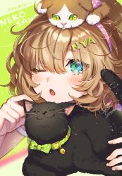 Rule 34 | 1girl, animal, animal on head, arrow (symbol), black cat, blue eyes, blush, brown hair, cat, commentary request, green background, hair between eyes, highres, looking at viewer, on head, one eye closed, open mouth, original, polka dot, romaji text, shinishi chiho, signature, solo