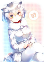 Rule 34 | 10s, 1girl, :o, absurdres, bird tail, blue background, blush, buttons, coat, commentary request, feathers, fur trim, grey coat, grey hair, hair between eyes, hands on lap, highres, japari symbol, kanzakietc, kemono friends, long sleeves, looking at viewer, multicolored hair, northern white-faced owl (kemono friends), pantyhose, pink background, short hair, solo, tail, two-tone background, white pantyhose, yellow eyes
