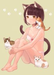 Rule 34 | 1girl, ame usako, animal ears, barefoot, blush, bow, bow bra, bra, breasts, brown eyes, brown hair, cat, cat ears, cat tail, cleavage, looking at viewer, original, panties, pink bra, ribbon-trimmed bra, simple background, sitting, small breasts, solo, tail, underwear, underwear only