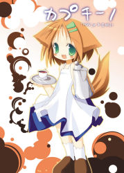 Rule 34 | 1girl, animal ears, brown background, dog ears, dog tail, fox ears, nagomi tozakura, pitcher (container), simple background, socks, solo, standing, tagme, tail, white socks