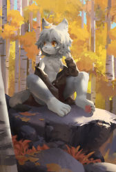 Rule 34 | 1boy, aedbc, animal ears, animal hands, brown eyes, child, furry, furry male, highres, male focus, nature, off shoulder, original, outdoors, rock, short hair, sitting, sitting on rock, solo, tail, tree, white fur, white hair, wolf ears, wolf tail