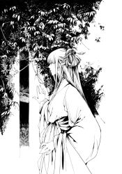Rule 34 | 1girl, female focus, from side, greyscale, hair ornament, hair stick, hakama, hakama skirt, japanese clothes, kei shu, long hair, long sleeves, monochrome, nature, original, outdoors, plant, profile, skirt, solo, traditional clothes, traditional media, tree, wide sleeves