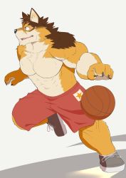 Rule 34 | 1boy, abs, animal ear fluff, animal ears, ball, bara, bare shoulders, barrel (live a hero), basketball, basketball (object), basketball uniform, beige fur, brown fur, dog boy, dog ears, dog tail, full body, furry, furry male, guhze1820, highres, large pectorals, live a hero, looking to the side, male focus, muscular, muscular male, navel, no nipples, orange fur, pectorals, red shirt, red shorts, running, shirt, shorts, sidepec, sleeveless, sleeveless shirt, smile, solo, sportswear, stomach, tail, topless male
