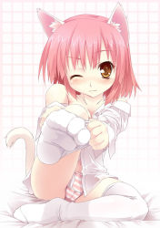 Rule 34 | 1girl, animal ears, bed sheet, blush, cameltoe, cat ears, cat tail, dress shirt, dressing, feet, foot focus, foreshortening, no pants, off shoulder, one eye closed, panties, pink hair, shirt, short hair, smile, socks, soles, solo, striped clothes, striped panties, tail, thighhighs, unbuttoned, underwear, white background, wink, yamano sachi, yellow eyes