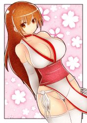 Rule 34 | 1girl, absurdres, breasts, dead or alive, gians noby, highres, kasumi (doa), large breasts, ponytail, solo