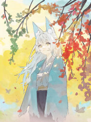 Rule 34 | 1girl, absurdres, animal ear fluff, animal ears, blue shawl, branch, bug, butterfly, closed mouth, cowboy shot, crossed arms, fishofthelakes, floating hair, grey hair, grey kimono, highres, insect, japanese clothes, kimono, long hair, long sleeves, original, shawl, short eyebrows, solo, yellow eyes