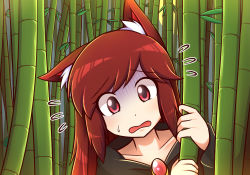 Rule 34 | 1girl, animal ears, bamboo, bamboo forest, blush, brooch, brown hair, dress, flying sweatdrops, forest, imaizumi kagerou, jewelry, long hair, long sleeves, looking at viewer, nature, open mouth, red eyes, solo, touhou, turn pale, wolf ears, wool (miwol)