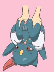 Rule 34 | 1girl, :3, anal, anal fingering, anus, ass, ass grab, cleft of venus, creatures (company), cropped legs, disembodied hand, female focus, fingering, flat chest, furry, furry female, game freak, gen 2 pokemon, half-closed eyes, hands up, highres, legs up, looking down, navel, nintendo, nipples, open mouth, pokemon, pokemon (creature), pussy, red eyes, shiny skin, smile, sneasel, solo, spread legs, tongue, tongue out, uncensored, upside-down, vono (voon)