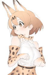 Rule 34 | 1girl, absurdres, animal ear fluff, animal ears, bad id, bad pixiv id, bare shoulders, belt, blonde hair, blush, bow, bowtie, commentary, cowboy shot, elbow gloves, extra ears, gloves, high-waist skirt, highres, kemono friends, kona ming, looking away, looking to the side, paw pose, print bow, print bowtie, print gloves, print neckwear, print skirt, serval (kemono friends), serval print, shirt, short hair, simple background, skirt, sleeveless, solo, traditional bowtie, white background, white shirt, yellow eyes