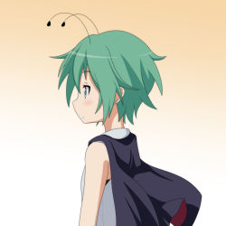 Rule 34 | 1girl, androgynous, antennae, bare shoulders, blush, cape, cato (monocatienus), from side, gradient background, green eyes, green hair, matching hair/eyes, shirt, short hair, sleeveless, sleeveless shirt, solo, touhou, very short hair, wriggle nightbug