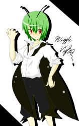 Rule 34 | 1girl, antennae, artist request, cape, character name, female focus, flat chest, green hair, open collar, red eyes, short hair, solo, tomboy, touhou, wriggle nightbug
