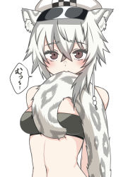 Rule 34 | 1girl, absurdres, animal ear fluff, animal ears, arknights, arms behind back, bandeau, bare shoulders, biting, biting own tail, blush, breasts, cabbie hat, cliffheart (arknights), commentary request, crossed bangs, hair between eyes, hat, highres, kusonemita, leopard ears, leopard tail, looking at viewer, medium breasts, medium hair, midriff, navel, sidelocks, silver hair, simple background, solo, speech bubble, standing, tail, tail biting, translation request, upper body, white background, white hat