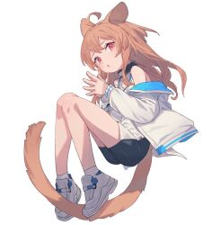 Rule 34 | 1girl, ahoge, animal ears, bike shorts, black shorts, brown hair, cat ears, cat girl, cat tail, full body, jacket, knees up, legs, long hair, off shoulder, original, own hands together, peroncho, red eyes, shirt, shoes, shorts, sleeveless, sleeveless shirt, solo, tail, thighs, white footwear, white jacket, white shirt