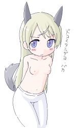Rule 34 | 00s, 1girl, animal ears, blush, breasts, eila ilmatar juutilainen, long hair, nipples, pantyhose, shinjou ryou, simple background, small breasts, solo, strike witches, tail, topless, translated, white pantyhose, world witches series, youta (asatsukidou)