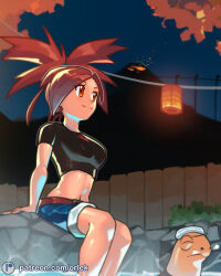 Rule 34 | 1girl, absurdres, arm support, belt, black shirt, blue shorts, brown belt, bush, closed mouth, commentary, creatures (company), cropped shirt, eyelashes, fence, flannery (pokemon), game freak, gen 3 pokemon, highres, legs together, midriff, navel, night, nintendo, onsen, orlek, outdoors, pokemon, pokemon (creature), pokemon rse, ponytail, red eyes, red hair, shirt, shorts, sitting, sky, smile, torkoal, towel, towel on head, volcano, watermark, web address