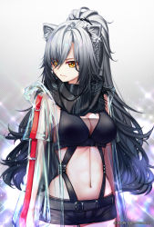 Rule 34 | 1girl, alalen, animal ear fluff, animal ears, arknights, artist name, black scarf, black shorts, breasts, cat ears, chinese commentary, cleavage, commentary request, cowboy shot, crop top, dated, grey background, hair over one eye, highres, jacket, large breasts, long hair, long sleeves, midriff, navel, open clothes, open jacket, scarf, schwarz (arknights), see-through, short shorts, shorts, silver hair, solo, sparkle, standing, stomach, very long hair, yellow eyes