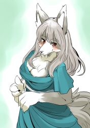 Rule 34 | 1girl, animal ear fluff, animal ears, animal hands, animal nose, blue dress, blush, body fur, breasts, claws, cleavage, closed mouth, dress, female focus, furry, furry female, green background, grey fur, grey hair, hands up, happy, highres, kame (3t), large breasts, long hair, looking at viewer, original, outline, own hands together, red eyes, short sleeves, sidelocks, simple background, smile, snout, solo, split mouth, standing, tail, two-tone fur, upper body, white fur, white outline, wolf ears, wolf girl, wolf tail
