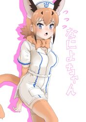 Rule 34 | 1girl, absurdres, belt, black hair, blue eyes, blush, caracal (kemono friends), caracal ears, cat girl, cat tail, cowboy shot, dress, elbow gloves, extra ears, flying sweatdrops, gloves, hat, highres, japari symbol, kemono friends, kemono friends festival, kumasyan1998, looking at viewer, multicolored hair, nurse, nurse cap, official alternate costume, open mouth, orange gloves, orange hair, orange thighhighs, pocket, short sleeves, sidelocks, simple background, solo, tail, thighhighs, translation request, white background, white belt, white dress, zettai ryouiki