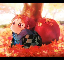 Rule 34 | 1boy, all fours, animal ears, autumn, autumn leaves, blue scarf, blurry, checkered clothes, day, depth of field, earrings, falling leaves, haori, japanese clothes, jewelry, kamado tanjirou, kemonomimi mode, kimetsu no yaiba, leaf, leaf on head, letterboxed, long sleeves, looking away, looking up, maga (chun), male focus, maple leaf, nature, outdoors, ponytail, raccoon boy, raccoon ears, raccoon tail, red eyes, red hair, scar, scar on face, scar on forehead, scarf, short hair, solo, tail, tree, under tree, wide sleeves