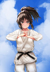 Rule 34 | 1girl, alternate hairstyle, artist name, belt, black belt, blue sky, closed mouth, cloud, cloudy sky, commentary request, commission, cowboy shot, day, dougi, fist in hand, frown, girls und panzer, hair tie, hair up, judo, karate gi, looking at viewer, medium hair, murakami (girls und panzer), outdoors, pants, partial commentary, pixiv commission, ponytail, shirt, signature, sky, solo, sparkle, standing, white pants, white shirt, yu sakurai06