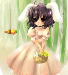 Rule 34 | 1girl, animal ears, rabbit ears, carrot, female focus, inaba tewi, lowres, outdoors, plant, solo, standing, touhou