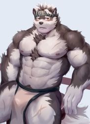 Rule 34 | 1boy, abs, absurdres, ainu, ainu clothes, animal ears, bara, bare pectorals, blush, bulge, chest hair, cowboy shot, furry, furry male, grey fur, grey hair, headband, highres, horkeu kamui, large pectorals, male focus, muscular, muscular male, navel, nipples, pectorals, pelvic curtain, phy sen, scar, scar on chest, scar on leg, short hair, solo, stomach, tail, thick thighs, thighs, tokyo houkago summoners, two-tone fur, white fur, wolf boy, wolf ears, wolf tail, yellow eyes