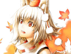 Rule 34 | 1girl, animal ears, autumn leaves, bare shoulders, blush, hat, inubashiri momiji, leaf, leaf background, looking up, open mouth, pom pom (clothes), red eyes, short hair, silver hair, solo, tail, tokin hat, touhou, wolf ears, wolf tail, zzzzzzzzzzzzzzp