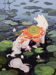 Rule 34 | amaterasu (ookami), animal, animal ears, commentary, english commentary, fire, flower, lily (flower), lily pad, looking to the side, nature, no humans, ookami (game), outdoors, partially submerged, reflector (ookami), ripples, shield, wading, water, white fur, wolf, wolf ears, yueko (jiayue wu)